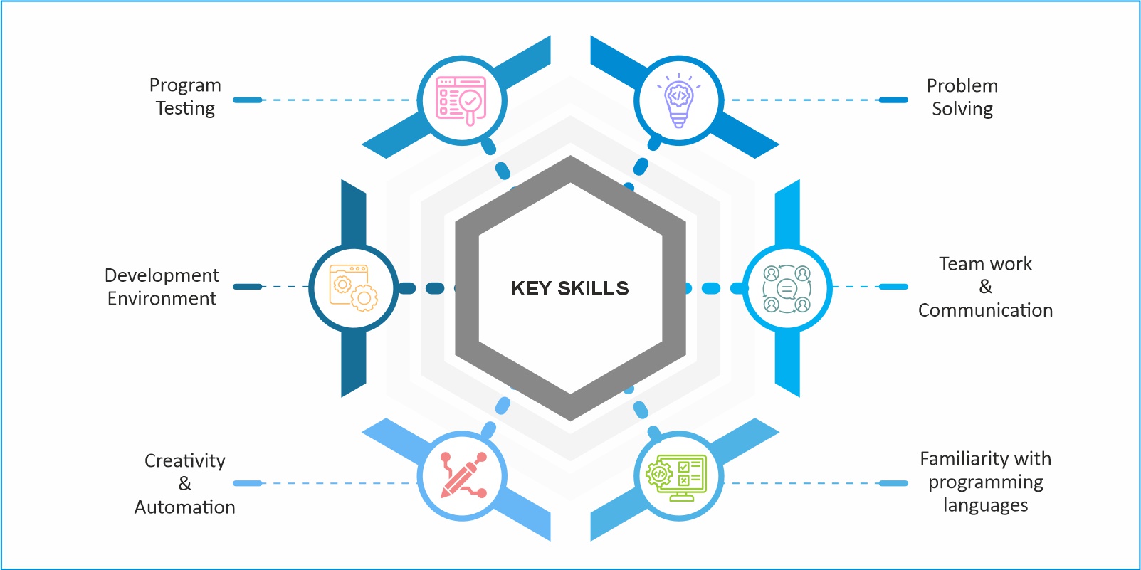 Software Skills